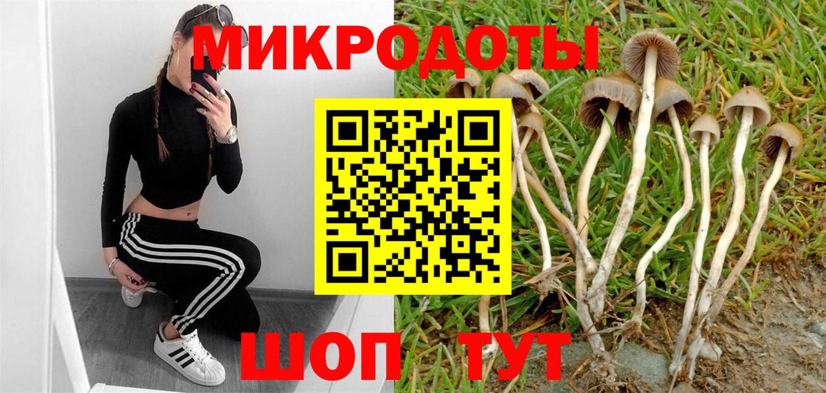 Галлюциногенные грибы Magic Shrooms  Вход с VPN  Крымск 